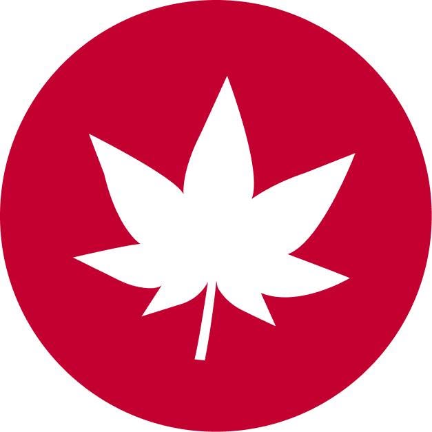 Momiji Travel logo